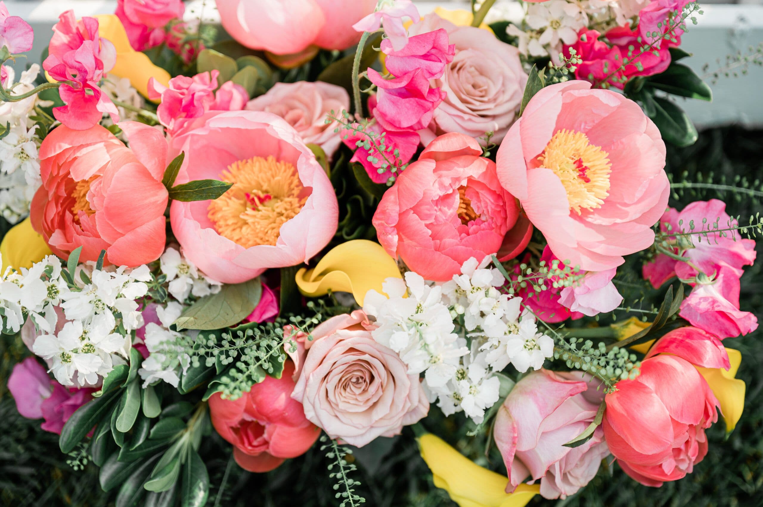 The Wedding Ring - theweddingring.ca